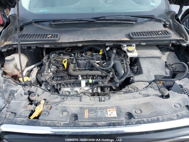 1FMCU9GD7KUA08313 Ford Escape