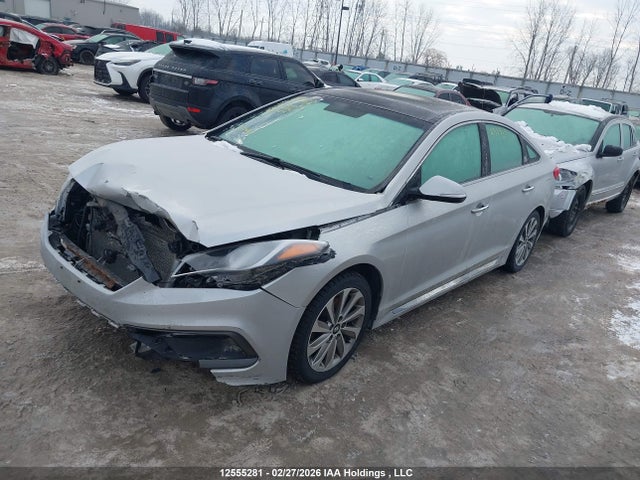 5NPE34AF1FH085465 Hyundai Sonata Sport/limited
