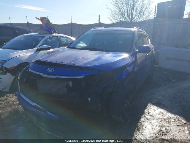 Продаж на аукціоні авто 2021 Kia Seltos Lx, vin: KNDEPCAA9M7210622, номер лоту: 12555295