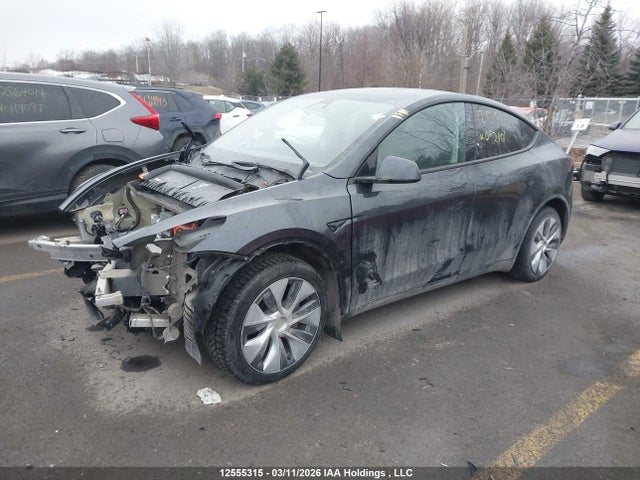 Продажа на аукционе авто 2024 Tesla Model Y Long Range/rwd, vin: 7SAYGDED9RF092101, номер лота: 12555315