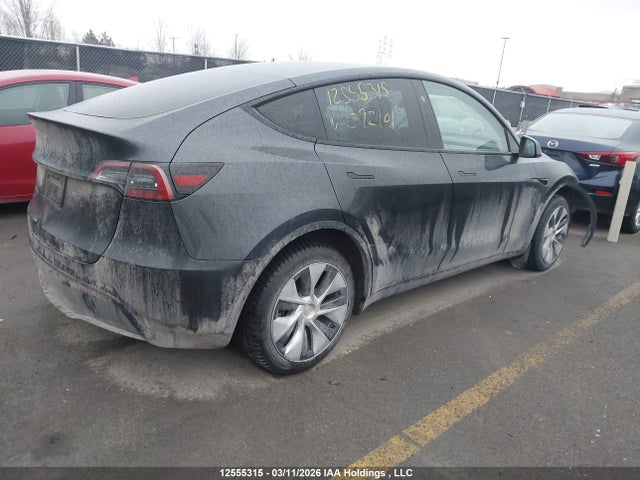Продажа на аукционе авто 2024 Tesla Model Y Long Range/rwd, vin: 7SAYGDED9RF092101, номер лота: 12555315