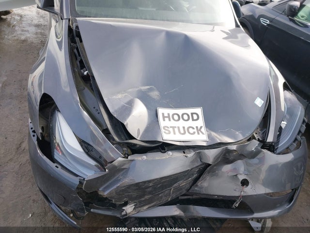 Aukcja sprzedaży 2023 Tesla Model Y, vin: LRWYGDFD5PC163460, numer aukcji: 12555590
