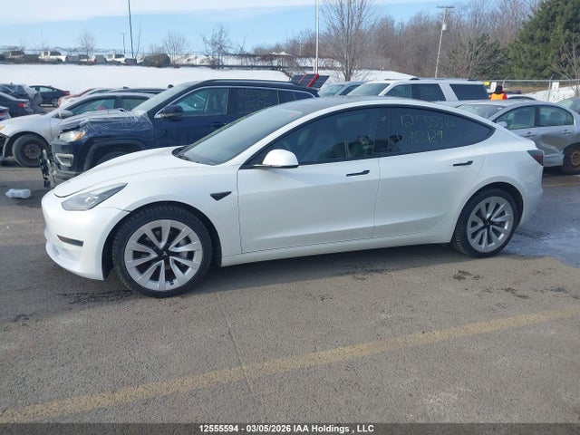 Продаж на аукціоні авто 2023 Tesla Model 3 Rwd, vin: 5YJ3E1EA4PF463129, номер лоту: 12555594