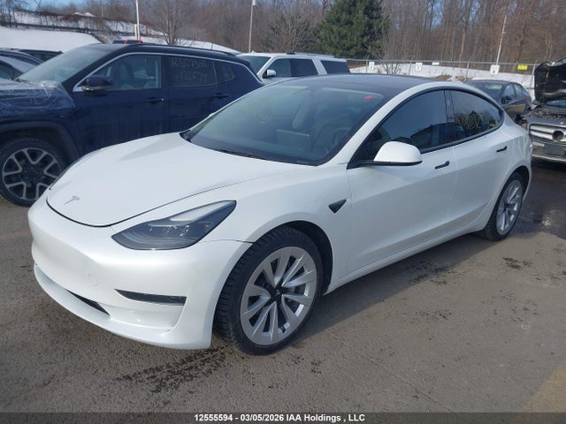 Продаж на аукціоні авто 2023 Tesla Model 3 Rwd, vin: 5YJ3E1EA4PF463129, номер лоту: 12555594