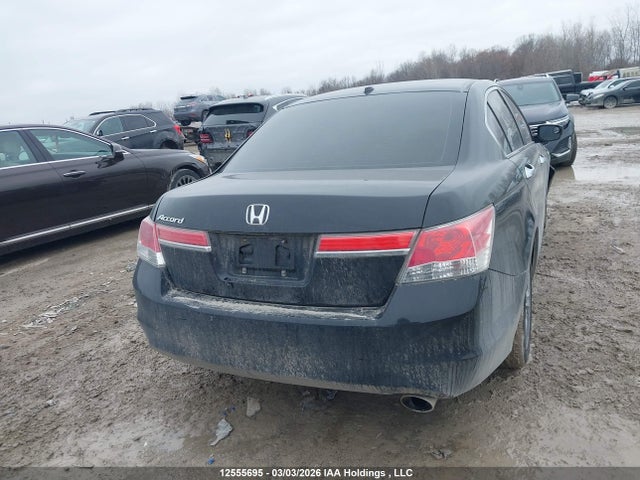 2011 Honda Accord Ex-l მანქანა იყიდება აუქციონზე, vin: 1HGCP2F89BA800117, აუქციონის ნომერი: 12555695