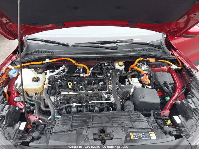 Продаж на аукціоні авто 2024 Ford Escape, vin: 1FMCU0E11RUB40613, номер лоту: 12555710