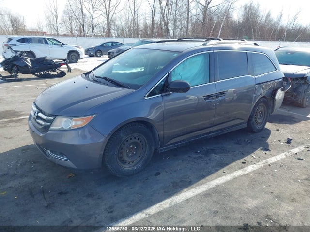 5FNRL5H39FB510609 Honda ODYSSEY SE