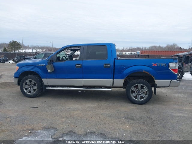 Auction sale of the 2013 Ford F-150 Xlt, vin: 1FTFW1EF8DKD74457, lot number: 12555755