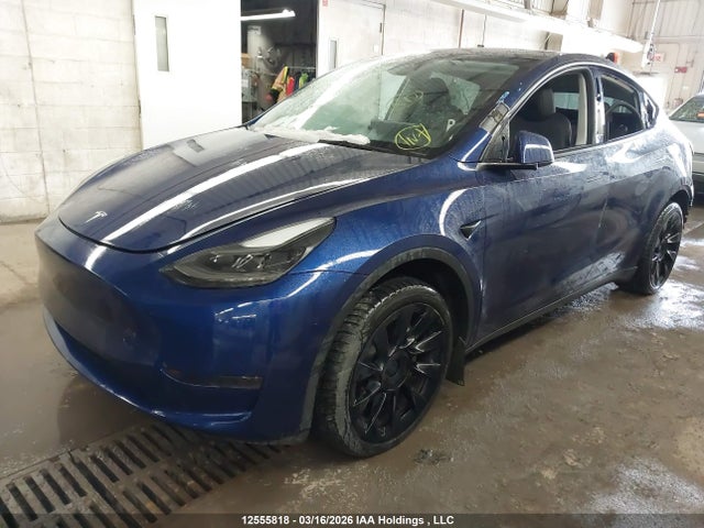 Aukcja sprzedaży 2024 Tesla Model Y, vin: 7SAYGDEDXRF011705, numer aukcji: 12555818