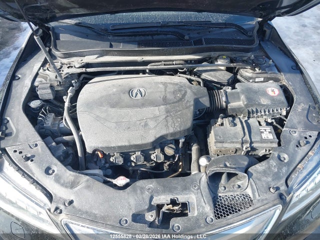 19UUB3F73HA800073 Acura Tlx Advance
