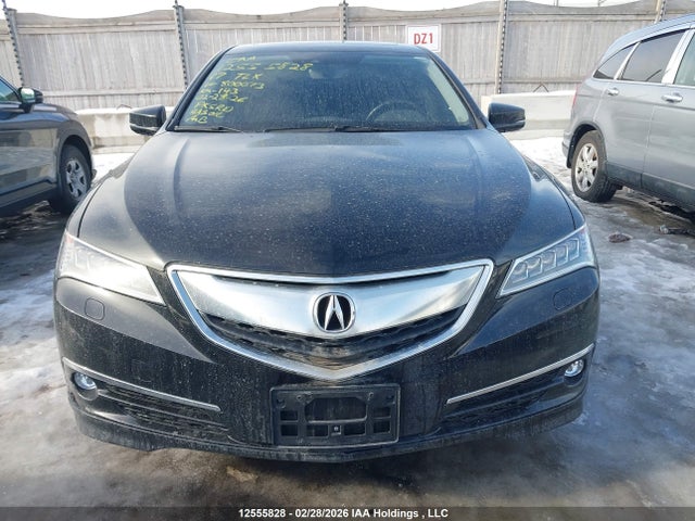 19UUB3F73HA800073 Acura Tlx Advance