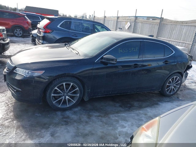 19UUB3F73HA800073 Acura Tlx Advance