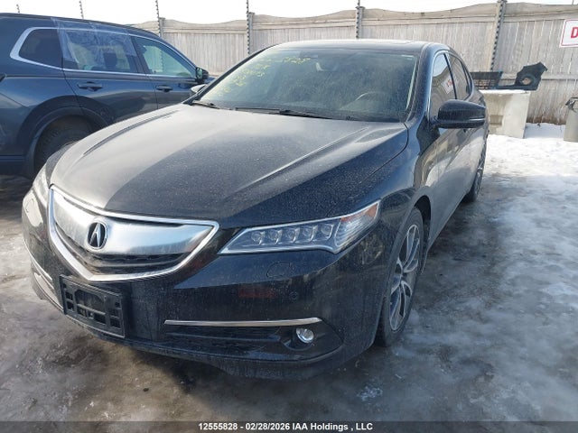 19UUB3F73HA800073 Acura Tlx Advance