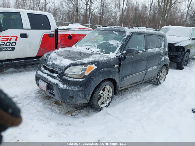 12555837 :رقم المزاد ، KNDJT2A20A7041261 vin ، 2010 Kia Soul +/!/sport مزاد بيع
