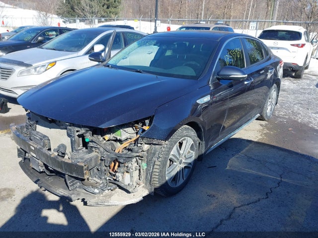 2017 Kia Optima მანქანა იყიდება აუქციონზე, vin: KNAGV4LD6H5018326, აუქციონის ნომერი: 12555929
