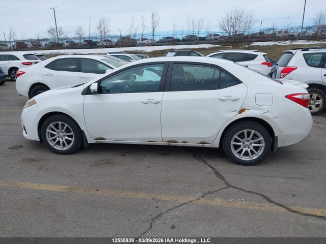 12555939 :رقم المزاد ، 2T1BURHE5EC164312 vin ، 2014 Toyota Corolla L/le/le Pls/prm/s/s Pls مزاد بيع