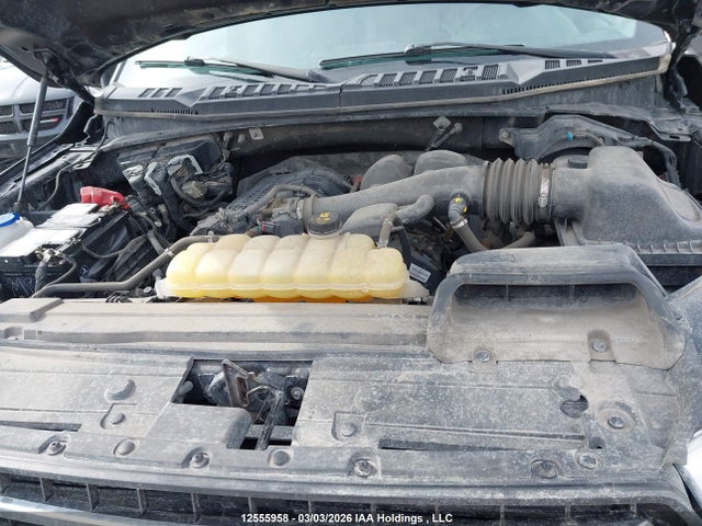 Auction sale of the 2019 Ford F-150 Xlt, vin: 1FTEW1EBXKFA98264, lot number: 12555958