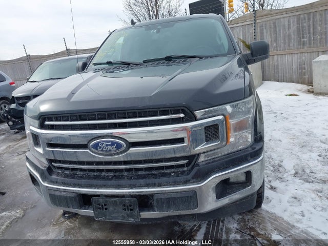 Auction sale of the 2019 Ford F-150 Xlt, vin: 1FTEW1EBXKFA98264, lot number: 12555958
