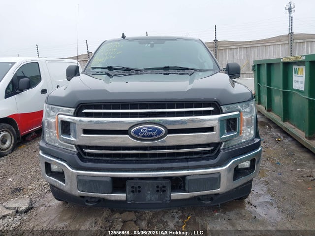 Auction sale of the 2019 Ford F-150 Xlt, vin: 1FTEW1EBXKFA98264, lot number: 12555958
