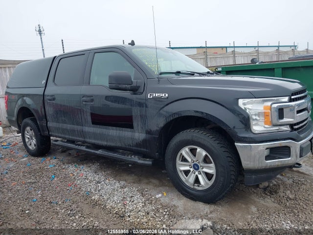 Auction sale of the 2019 Ford F-150 Xlt, vin: 1FTEW1EBXKFA98264, lot number: 12555958