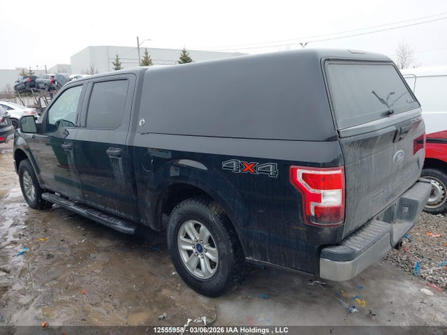 Auction sale of the 2019 Ford F-150 Xlt, vin: 1FTEW1EBXKFA98264, lot number: 12555958