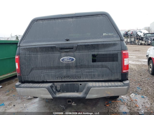 Auction sale of the 2019 Ford F-150 Xlt, vin: 1FTEW1EBXKFA98264, lot number: 12555958