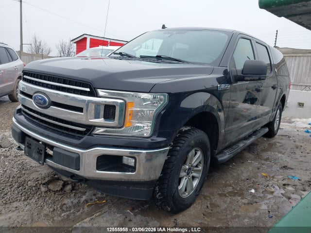 Auction sale of the 2019 Ford F-150 Xlt, vin: 1FTEW1EBXKFA98264, lot number: 12555958