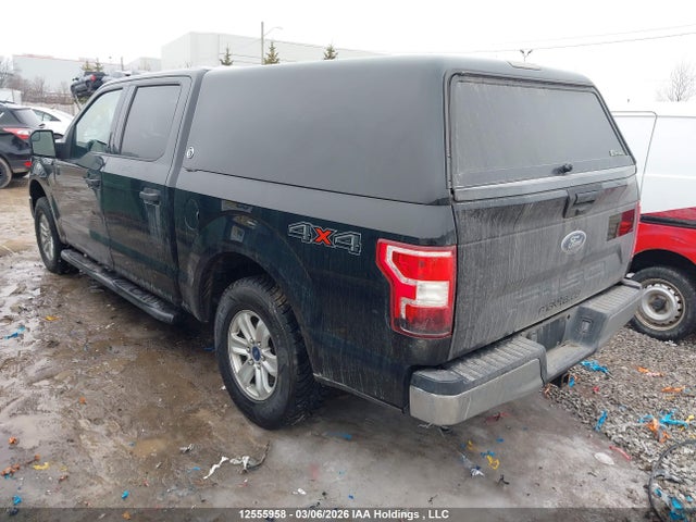 Auction sale of the 2019 Ford F-150 Xlt, vin: 1FTEW1EBXKFA98264, lot number: 12555958