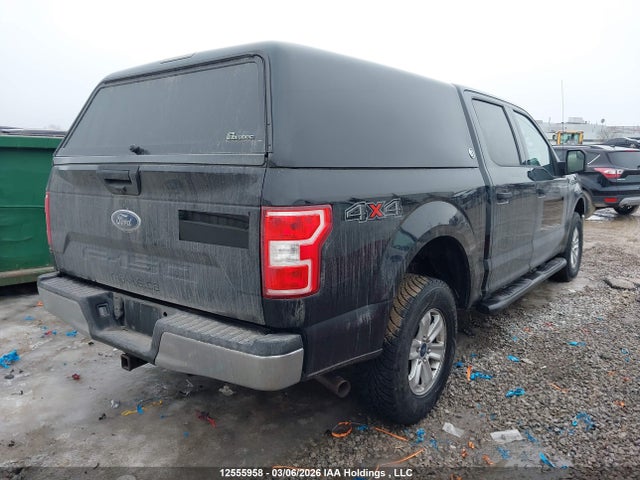 Auction sale of the 2019 Ford F-150 Xlt, vin: 1FTEW1EBXKFA98264, lot number: 12555958