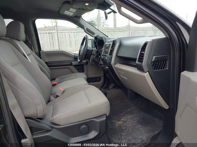 Auction sale of the 2019 Ford F-150 Xlt, vin: 1FTEW1EBXKFA98264, lot number: 12555958