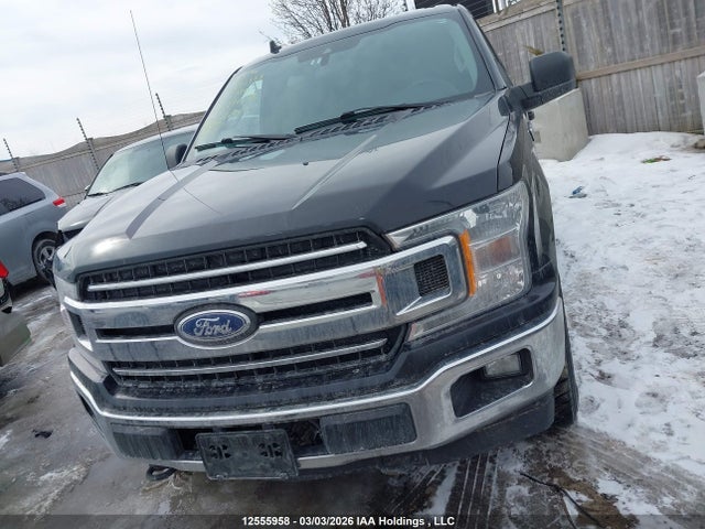 Auction sale of the 2019 Ford F-150 Xlt, vin: 1FTEW1EBXKFA98264, lot number: 12555958