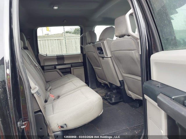 Auction sale of the 2019 Ford F-150 Xlt, vin: 1FTEW1EBXKFA98264, lot number: 12555958