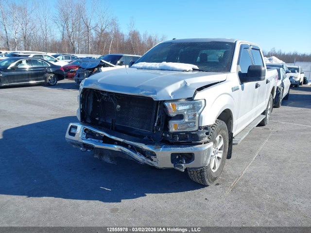 12555978 :رقم المزاد ، 1FTEW1E82GKD68090 vin ، 2016 Ford F150 Supercrew مزاد بيع