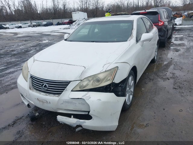 Auction sale of the 2009 Lexus Es 350 350, vin: JTHBJ46G592286798, lot number: 12556048