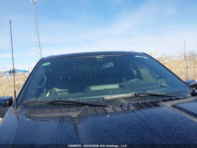 1FTFW5LD4RFA39236 Ford F-150