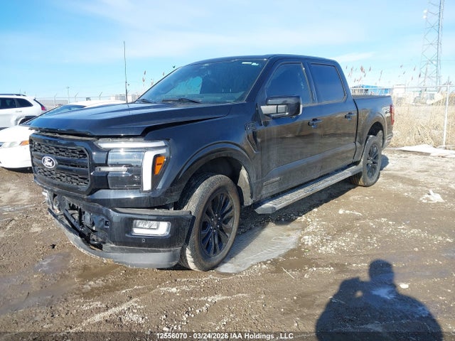 1FTFW5LD4RFA39236 Ford F-150