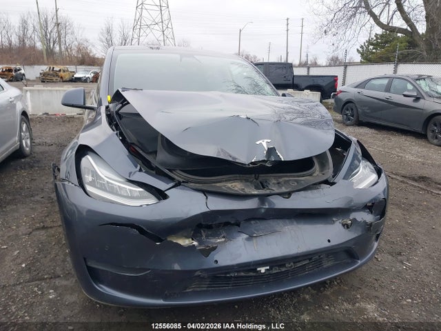 5YJYGDEE0MF067246 Tesla Model Y Long Range
