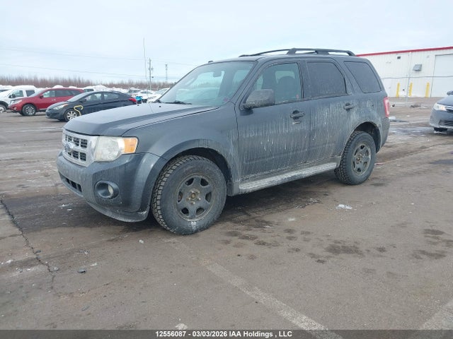 Aukcja sprzedaży 2009 Ford Escape Xlt, vin: 1FMCU93G29KC64154, numer aukcji: 12556087