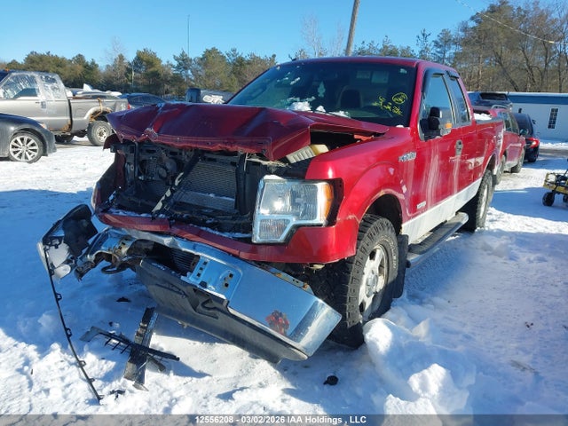 Продажа на аукционе авто 2013 Ford F-150 Xlt, vin: 1FTFX1ET3DFB78972, номер лота: 12556208