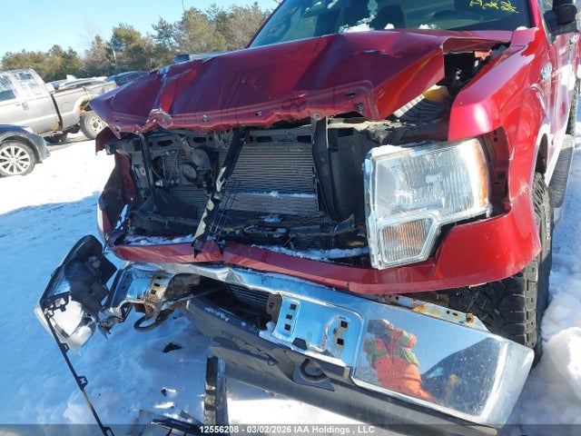 Продажа на аукционе авто 2013 Ford F-150 Xlt, vin: 1FTFX1ET3DFB78972, номер лота: 12556208