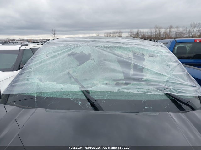 Продаж на аукціоні авто 2019 Gmc Sierra K1500, vin: 3GTN9AEF2KG175363, номер лоту: 12556231