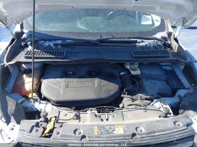 Продажа на аукционе авто 2014 Ford Escape Se, vin: 1FMCU9G97EUD53938, номер лота: 12556233
