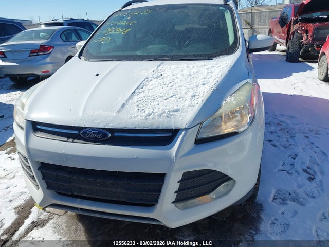 Продажа на аукционе авто 2014 Ford Escape Se, vin: 1FMCU9G97EUD53938, номер лота: 12556233