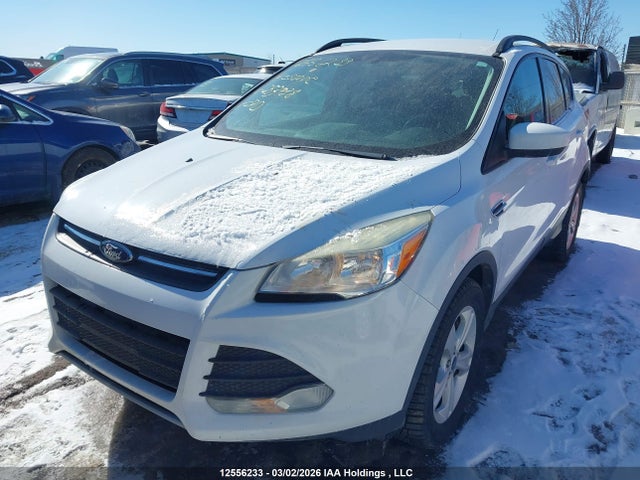 Продажа на аукционе авто 2014 Ford Escape Se, vin: 1FMCU9G97EUD53938, номер лота: 12556233