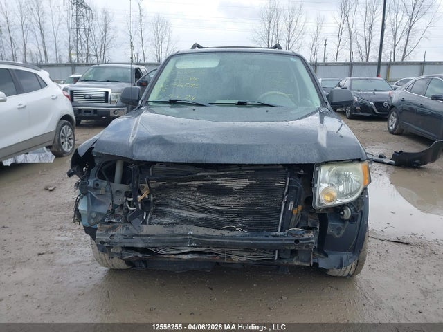 2008 Ford Escape Xlt მანქანა იყიდება აუქციონზე, vin: 1FMCU93188KE44295, აუქციონის ნომერი: 12556255