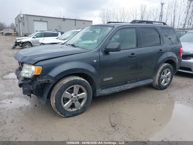 2008 Ford Escape Xlt მანქანა იყიდება აუქციონზე, vin: 1FMCU93188KE44295, აუქციონის ნომერი: 12556255