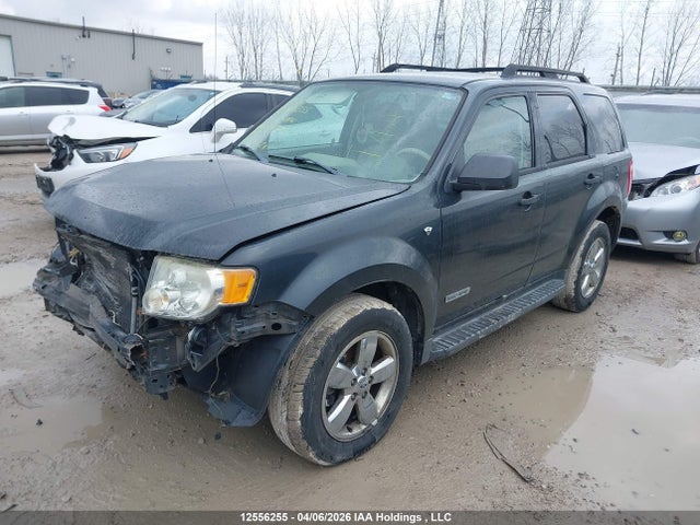 2008 Ford Escape Xlt მანქანა იყიდება აუქციონზე, vin: 1FMCU93188KE44295, აუქციონის ნომერი: 12556255