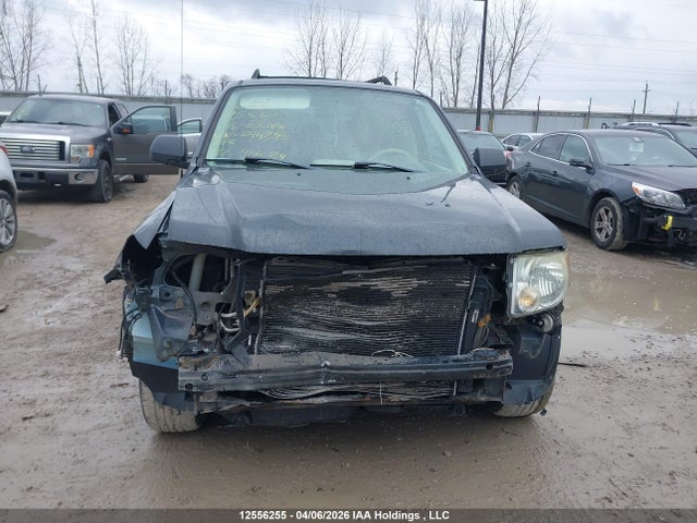2008 Ford Escape Xlt მანქანა იყიდება აუქციონზე, vin: 1FMCU93188KE44295, აუქციონის ნომერი: 12556255