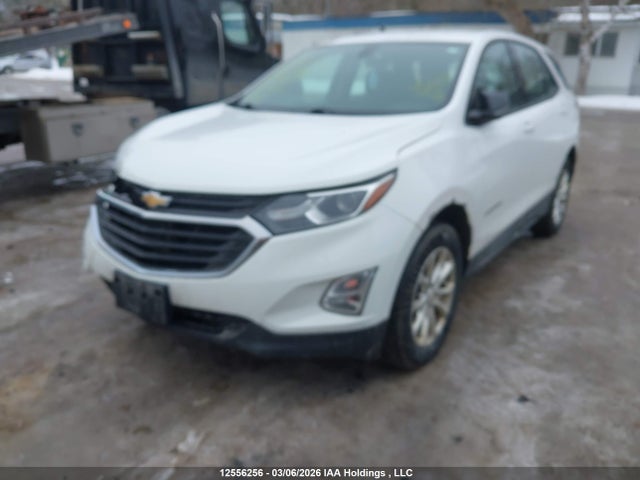 Продаж на аукціоні авто 2018 Chevrolet Equinox Ls, vin: 2GNAXREV9J6219533, номер лоту: 12556256