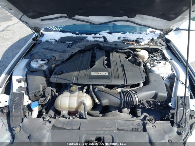 12556260 :رقم المزاد ، 1FA6P8CF5M5125739 vin ، 2021 Ford Mustang Gt مزاد بيع